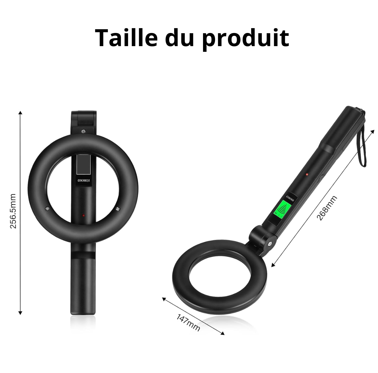 Pinpointer Pointer Dive